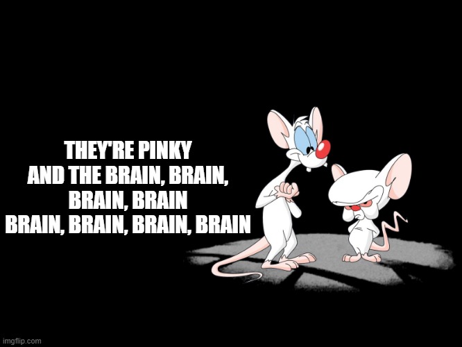 Pinky And The Brain | THEY'RE PINKY AND THE BRAIN, BRAIN, BRAIN, BRAIN
BRAIN, BRAIN, BRAIN, BRAIN | image tagged in pinky and the brain,memes | made w/ Imgflip meme maker