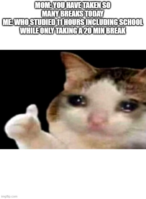 Sad cat thumbs up | MOM: YOU HAVE TAKEN SO MANY BREAKS TODAY
ME: WHO STUDIED 11 HOURS INCLUDING SCHOOL WHILE ONLY TAKING A 20 MIN BREAK | image tagged in sad cat thumbs up | made w/ Imgflip meme maker