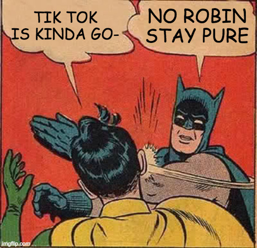 Batman Slapping Robin Meme | TIK TOK IS KINDA GO-; NO ROBIN STAY PURE | image tagged in memes,batman slapping robin | made w/ Imgflip meme maker