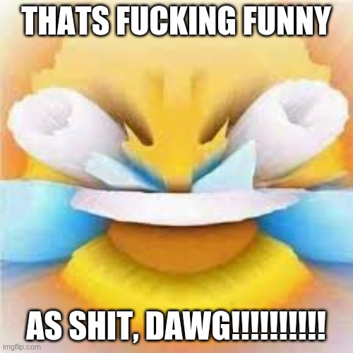 Laughing crying emoji with open eyes  | THATS FUCKING FUNNY AS SHIT, DAWG!!!!!!!!!! | image tagged in laughing crying emoji with open eyes | made w/ Imgflip meme maker