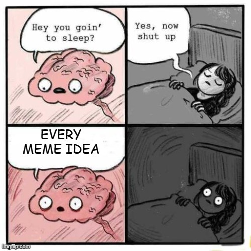 me when im trying to sleep | EVERY MEME IDEA | image tagged in hey you going to sleep | made w/ Imgflip meme maker