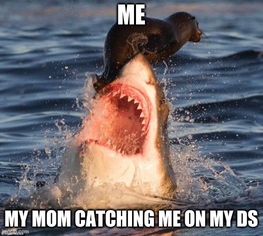 Travelonshark | ME; MY MOM CATCHING ME ON MY DS | image tagged in memes,travelonshark | made w/ Imgflip meme maker