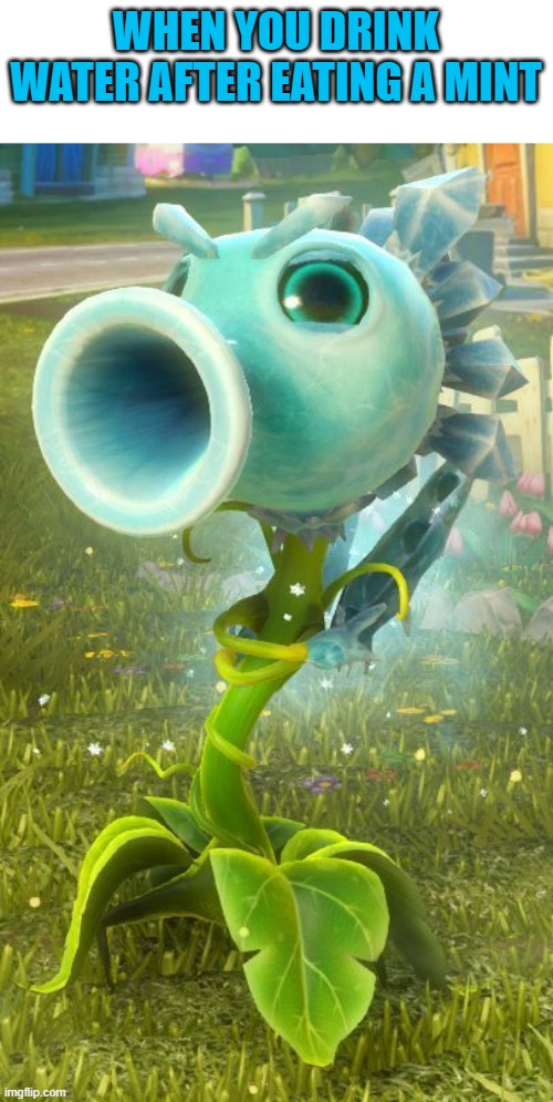 Cold go brrrr | WHEN YOU DRINK WATER AFTER EATING A MINT | image tagged in memes,pvz | made w/ Imgflip meme maker