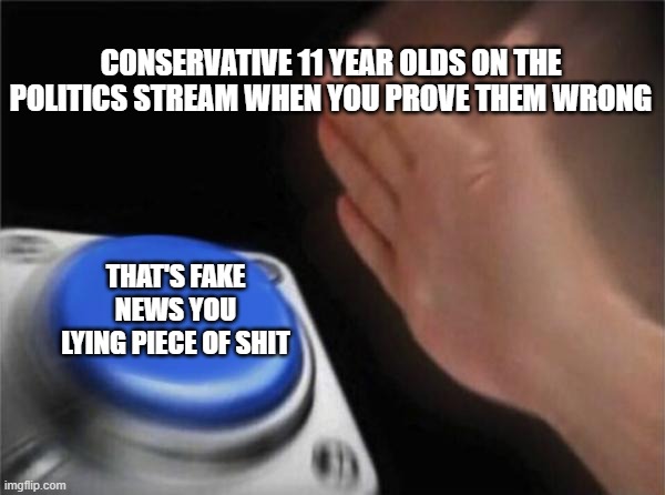 YOU LYING PIECE OF SHIT THAT'S FAKE NEWS | CONSERVATIVE 11 YEAR OLDS ON THE POLITICS STREAM WHEN YOU PROVE THEM WRONG; THAT'S FAKE NEWS YOU LYING PIECE OF SHIT | image tagged in memes,blank nut button,fake news,lying | made w/ Imgflip meme maker