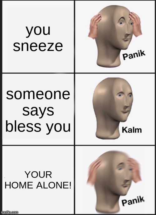 PANIK | you sneeze; someone says bless you; YOUR HOME ALONE! | image tagged in memes,panik kalm panik | made w/ Imgflip meme maker