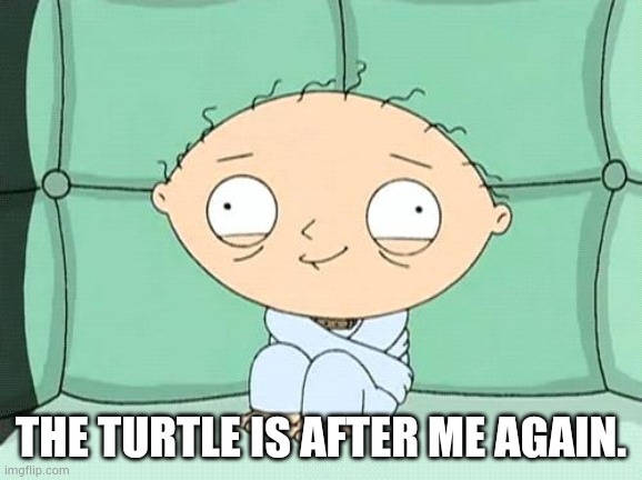 stewie straight jacket | THE TURTLE IS AFTER ME AGAIN. | image tagged in stewie straight jacket | made w/ Imgflip meme maker