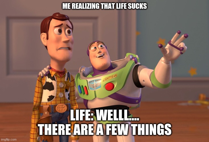 Life be like | ME REALIZING THAT LIFE SUCKS; LIFE: WELLL.... THERE ARE A FEW THINGS | image tagged in memes,x x everywhere | made w/ Imgflip meme maker