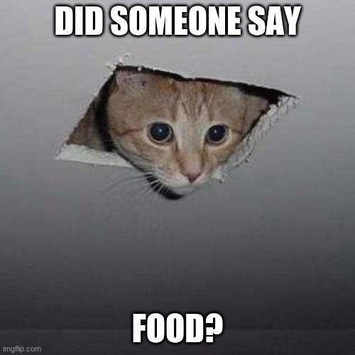 Food? | DID SOMEONE SAY; FOOD? | image tagged in memes,ceiling cat | made w/ Imgflip meme maker