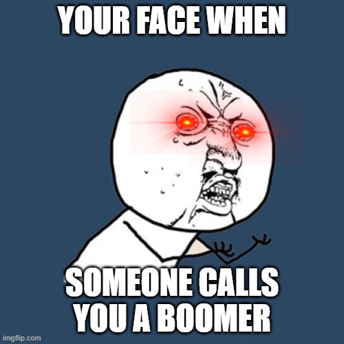 (not a repost I have no more submissions for the fun stream :( ) | YOUR FACE WHEN; SOMEONE CALLS YOU A BOOMER | image tagged in memes,y u no | made w/ Imgflip meme maker