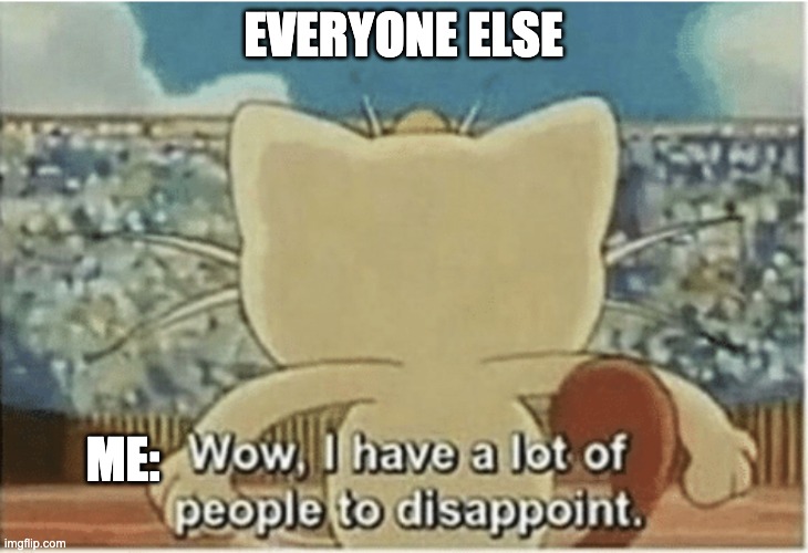 Wow, I have a lot of people to disappoint | EVERYONE ELSE; ME: | image tagged in wow i have a lot of people to disappoint | made w/ Imgflip meme maker