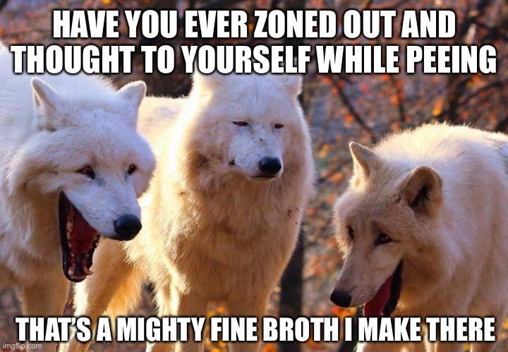 The special R Kelly pea soup lol | HAVE YOU EVER ZONED OUT AND THOUGHT TO YOURSELF WHILE PEEING; THAT’S A MIGHTY FINE BROTH I MAKE THERE | image tagged in laughing dogs with pissed dog | made w/ Imgflip meme maker