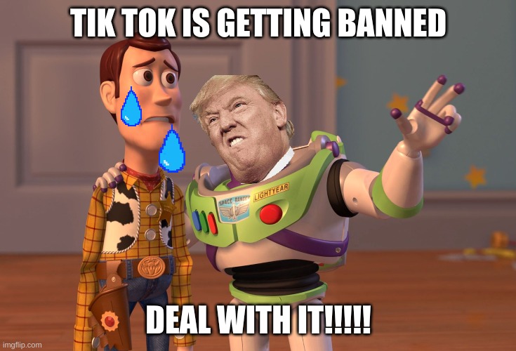 X, X Everywhere | TIK TOK IS GETTING BANNED; DEAL WITH IT!!!!! | image tagged in memes,x x everywhere,donald trump,tik tok | made w/ Imgflip meme maker