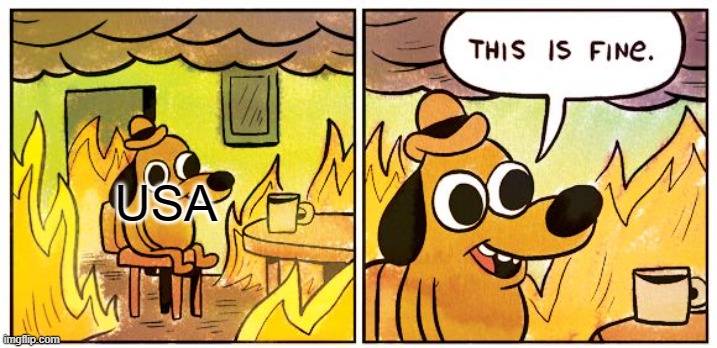 This Is Fine | USA | image tagged in memes,this is fine | made w/ Imgflip meme maker