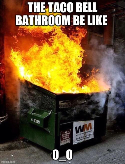 Dumpster Fire | THE TACO BELL BATHROOM BE LIKE; 0_O | image tagged in dumpster fire | made w/ Imgflip meme maker