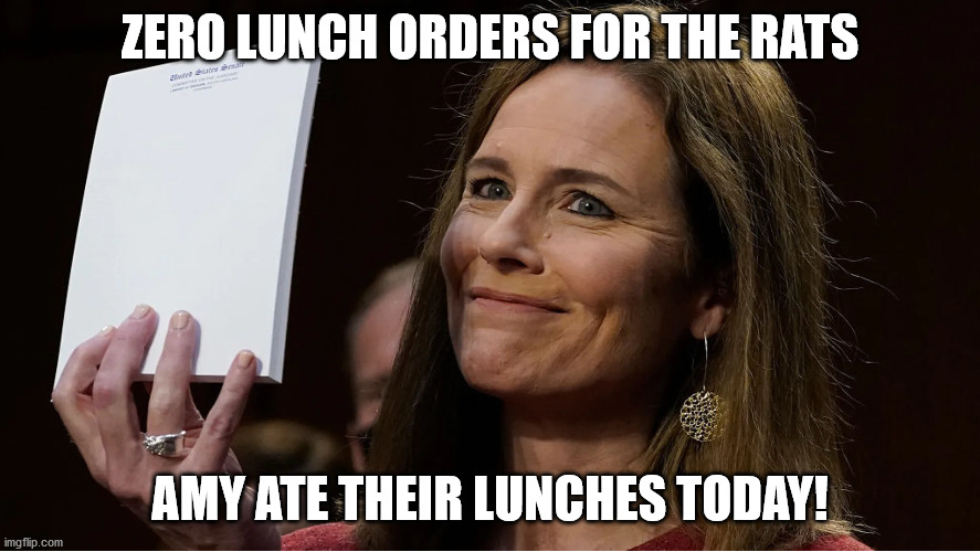 ZERO LUNCH ORDERS FOR THE RATS; AMY ATE THEIR LUNCHES TODAY! | made w/ Imgflip meme maker