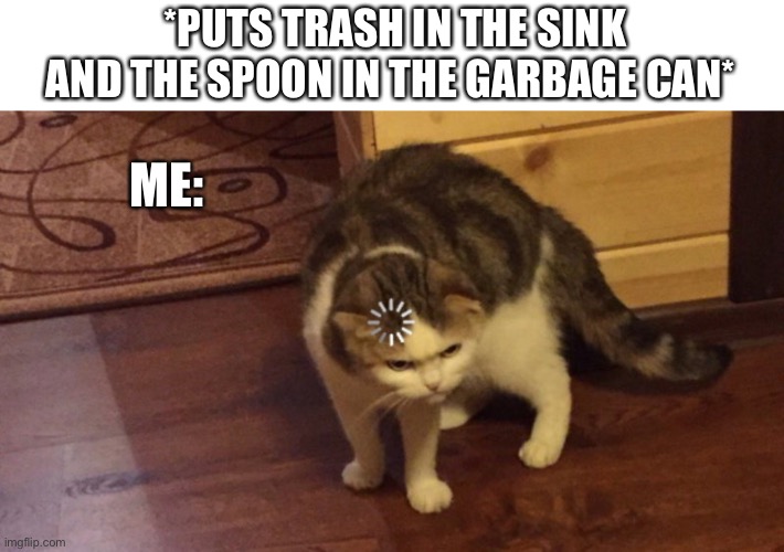 Who has done this? | *PUTS TRASH IN THE SINK AND THE SPOON IN THE GARBAGE CAN*; ME: | image tagged in buffering cat | made w/ Imgflip meme maker