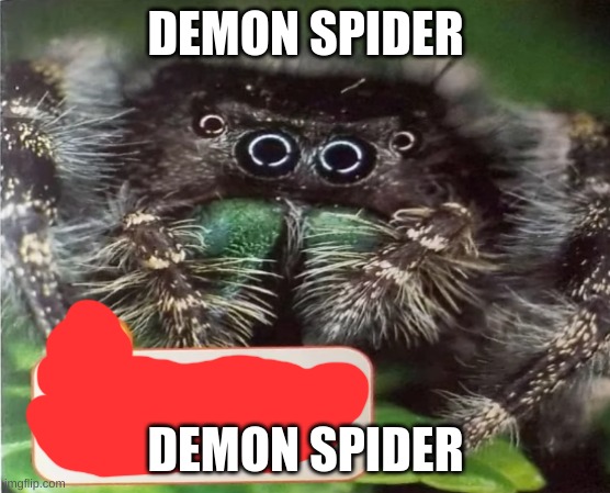 DEMON SPIDER | DEMON SPIDER; DEMON SPIDER | image tagged in demonic,spider,mems | made w/ Imgflip meme maker