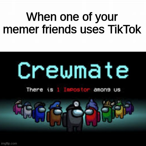 When one of your memer friends uses TikTok | image tagged in memes,funny | made w/ Imgflip meme maker