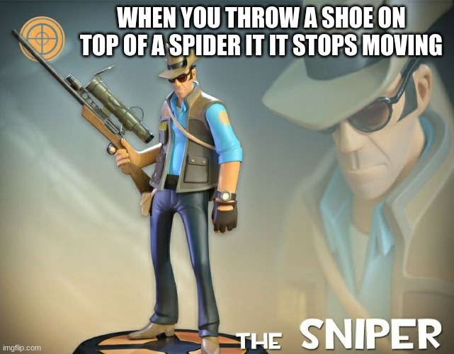 The Sniper | WHEN YOU THROW A SHOE ON TOP OF A SPIDER IT IT STOPS MOVING | image tagged in the sniper | made w/ Imgflip meme maker