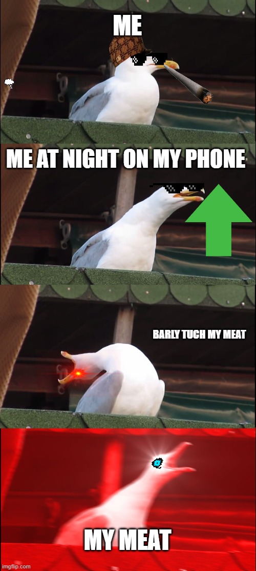 Inhaling Seagull | ME; ME AT NIGHT ON MY PHONE; BARLY TUCH MY MEAT; MY MEAT | image tagged in memes,inhaling seagull | made w/ Imgflip meme maker