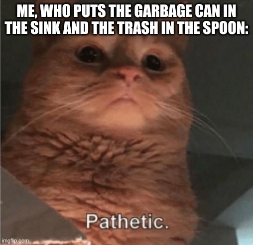 Pathetic Cat | ME, WHO PUTS THE GARBAGE CAN IN THE SINK AND THE TRASH IN THE SPOON: | image tagged in pathetic cat | made w/ Imgflip meme maker