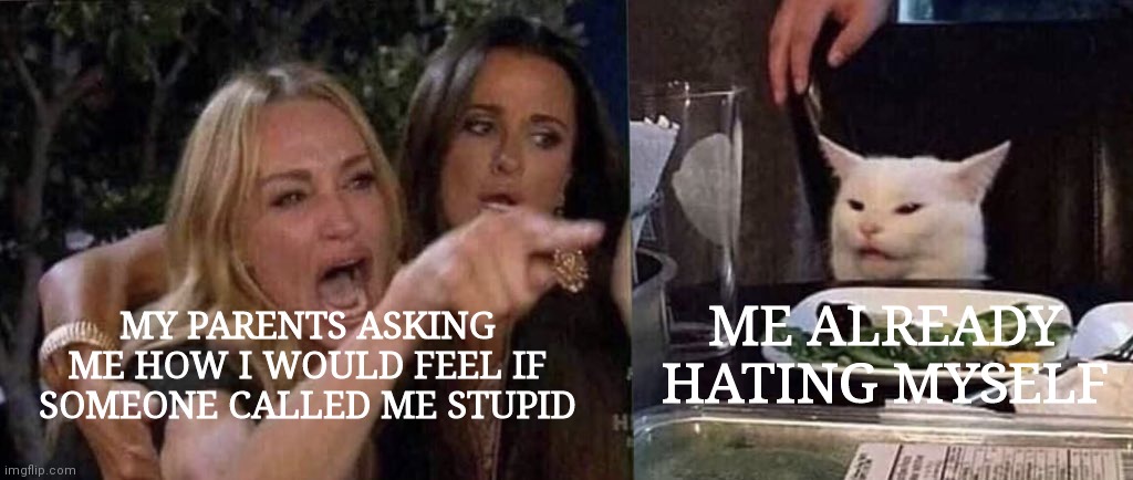 woman yelling at cat | ME ALREADY HATING MYSELF; MY PARENTS ASKING ME HOW I WOULD FEEL IF SOMEONE CALLED ME STUPID | image tagged in woman yelling at cat | made w/ Imgflip meme maker