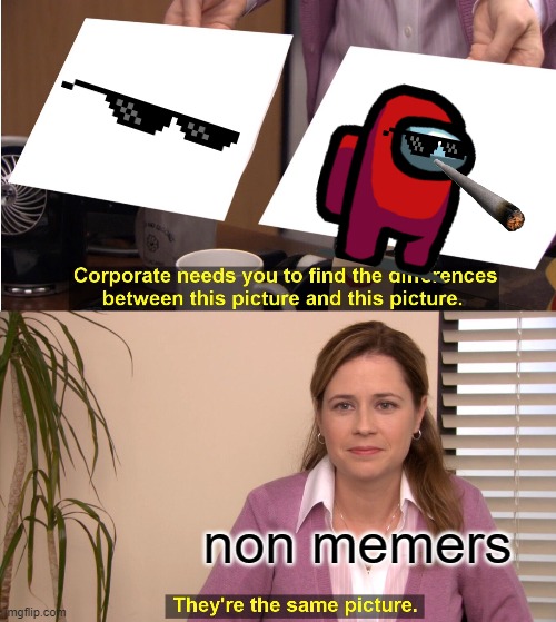 They're The Same Picture | non memers | image tagged in memes,they're the same picture | made w/ Imgflip meme maker