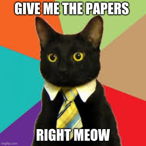 Buisness Cat  | GIVE ME THE PAPERS; RIGHT MEOW | image tagged in buisness cat | made w/ Imgflip meme maker