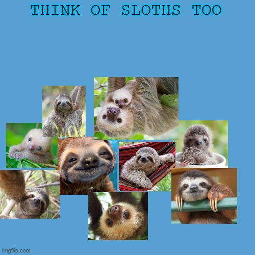 light blue sucks | THINK OF SLOTHS TOO | image tagged in light blue sucks | made w/ Imgflip meme maker