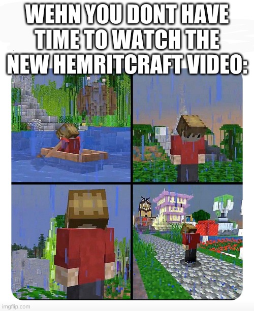 Sad Grian | WEHN YOU DONT HAVE TIME TO WATCH THE NEW HEMRITCRAFT VIDEO: | image tagged in sad grian | made w/ Imgflip meme maker
