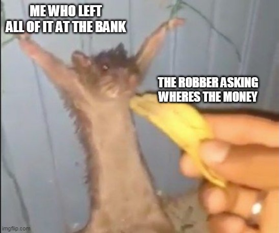 When you leave the money in your bank | ME WHO LEFT ALL OF IT AT THE BANK; THE ROBBER ASKING WHERES THE MONEY | image tagged in money,bank,banana,rat,mouse,captured | made w/ Imgflip meme maker