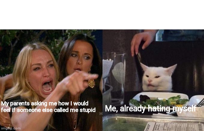 Woman Yelling At Cat | My parents asking me how I would feel if someone else called me stupid; Me, already hating myself | image tagged in memes,woman yelling at cat | made w/ Imgflip meme maker
