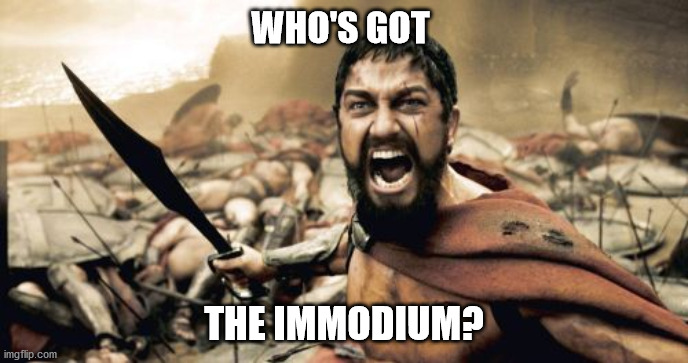 Sparta Leonidas | WHO'S GOT; THE IMMODIUM? | image tagged in memes,sparta leonidas | made w/ Imgflip meme maker