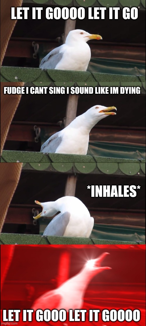 singing seagull | LET IT GOOOO LET IT GO; FUDGE I CANT SING I SOUND LIKE IM DYING; *INHALES*; LET IT GOOO LET IT GOOOO | image tagged in memes,inhaling seagull | made w/ Imgflip meme maker