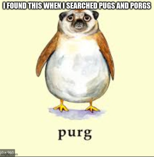 purg | I FOUND THIS WHEN I SEARCHED PUGS AND PORGS | image tagged in porg,star wars,the last jedi | made w/ Imgflip meme maker