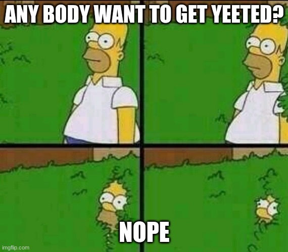Homer Simpson Nope | ANY BODY WANT TO GET YEETED? NOPE | image tagged in homer simpson nope | made w/ Imgflip meme maker