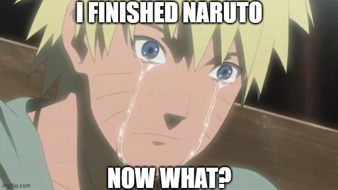 Finishing anime | I FINISHED NARUTO; NOW WHAT? | image tagged in finishing anime | made w/ Imgflip meme maker