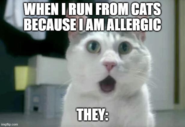 OMG Cat | WHEN I RUN FROM CATS BECAUSE I AM ALLERGIC; THEY: | image tagged in memes,omg cat | made w/ Imgflip meme maker