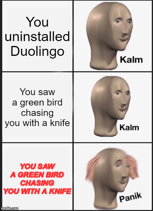RUN! | You uninstalled Duolingo; You saw a green bird chasing you with a knife; YOU SAW A GREEN BIRD CHASING YOU WITH A KNIFE | image tagged in memes,panik kalm panik,duolingo | made w/ Imgflip meme maker