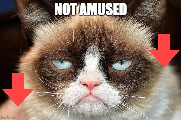 Grumpy Cat Not Amused | NOT AMUSED | image tagged in memes,grumpy cat not amused,grumpy cat | made w/ Imgflip meme maker