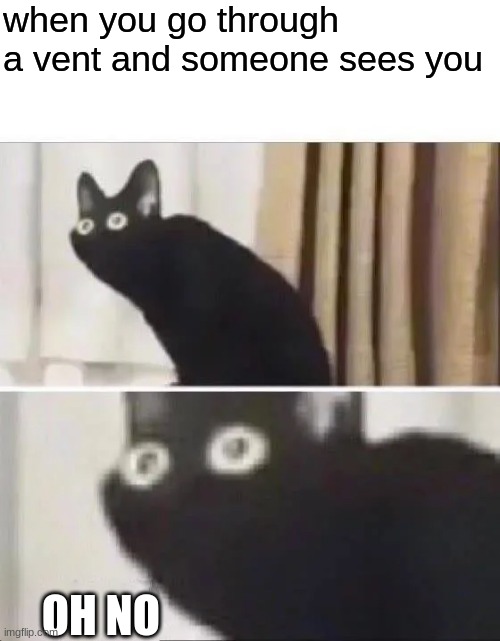 among us realistically | when you go through a vent and someone sees you; OH NO | image tagged in oh no black cat | made w/ Imgflip meme maker