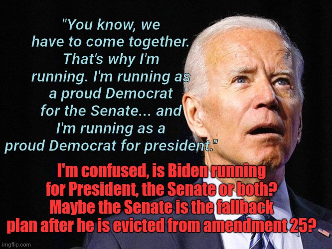 Biden - Senator or President? | "You know, we have to come together. That's why I'm running. I'm running as a proud Democrat for the Senate... and I'm running as a proud Democrat for president."; I'm confused, is Biden running for President, the Senate or both? Maybe the Senate is the fallback plan after he is evicted from amendment 25? | image tagged in joe biden confused,biden,president,election,2020,confused | made w/ Imgflip meme maker