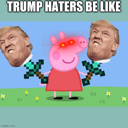 Peppa Pig | TRUMP HATERS BE LIKE | image tagged in peppa pig | made w/ Imgflip meme maker