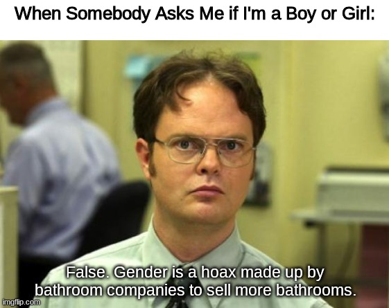 It's the Truth | When Somebody Asks Me if I'm a Boy or Girl:; False. Gender is a hoax made up by bathroom companies to sell more bathrooms. | image tagged in memes,dwight schrute | made w/ Imgflip meme maker