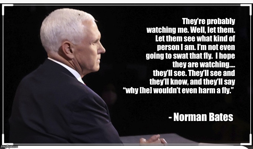 Pence and Fly | They’re probably watching me. Well, let them. Let them see what kind of person I am. I’m not even going to swat that fly.  I hope they are watching.... they’ll see. They’ll see and they’ll know, and they’ll say “why [he] wouldn’t even harm a fly.”; - Norman Bates | image tagged in pence and fly | made w/ Imgflip meme maker
