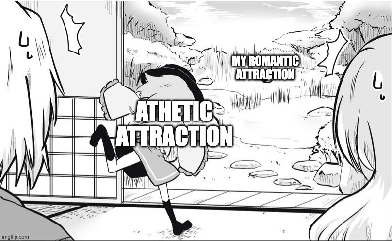 For my ace/abroromo peeps on this stream | MY ROMANTIC ATTRACTION; ATHETIC ATTRACTION | image tagged in yeet touhou | made w/ Imgflip meme maker