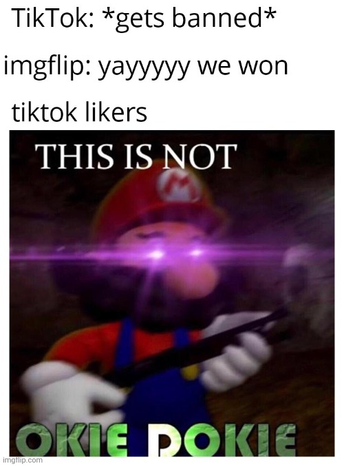 Tik tok sucks | image tagged in gotanypain | made w/ Imgflip meme maker