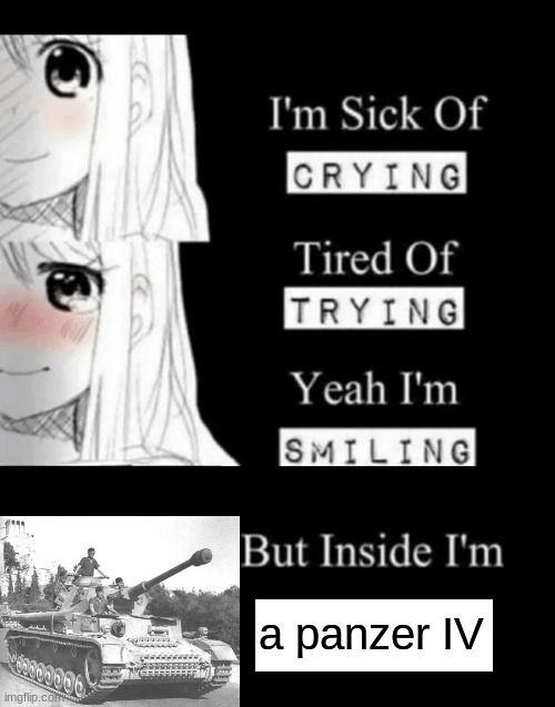 does this count as anime | a panzer IV | image tagged in i'm sick of crying | made w/ Imgflip meme maker