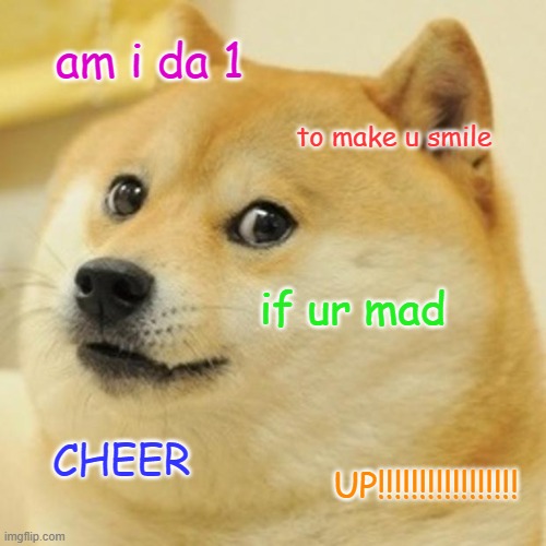 Doge Meme | am i da 1; to make u smile; if ur mad; CHEER; UP!!!!!!!!!!!!!!!!! | image tagged in memes,doge | made w/ Imgflip meme maker
