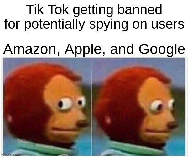 Tik Tok | Tik Tok getting banned for potentially spying on users; Amazon, Apple, and Google | image tagged in memes,monkey puppet | made w/ Imgflip meme maker